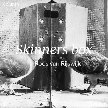 Lees Roos van Rijswijk bij De Revisor: Skinners Box