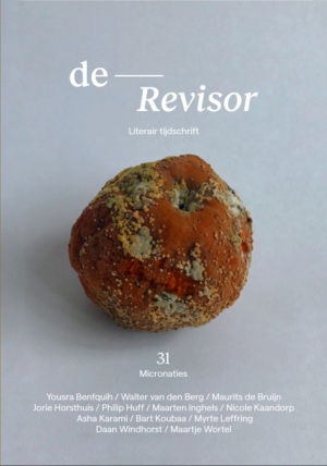 De Revisor 31: Micronaties